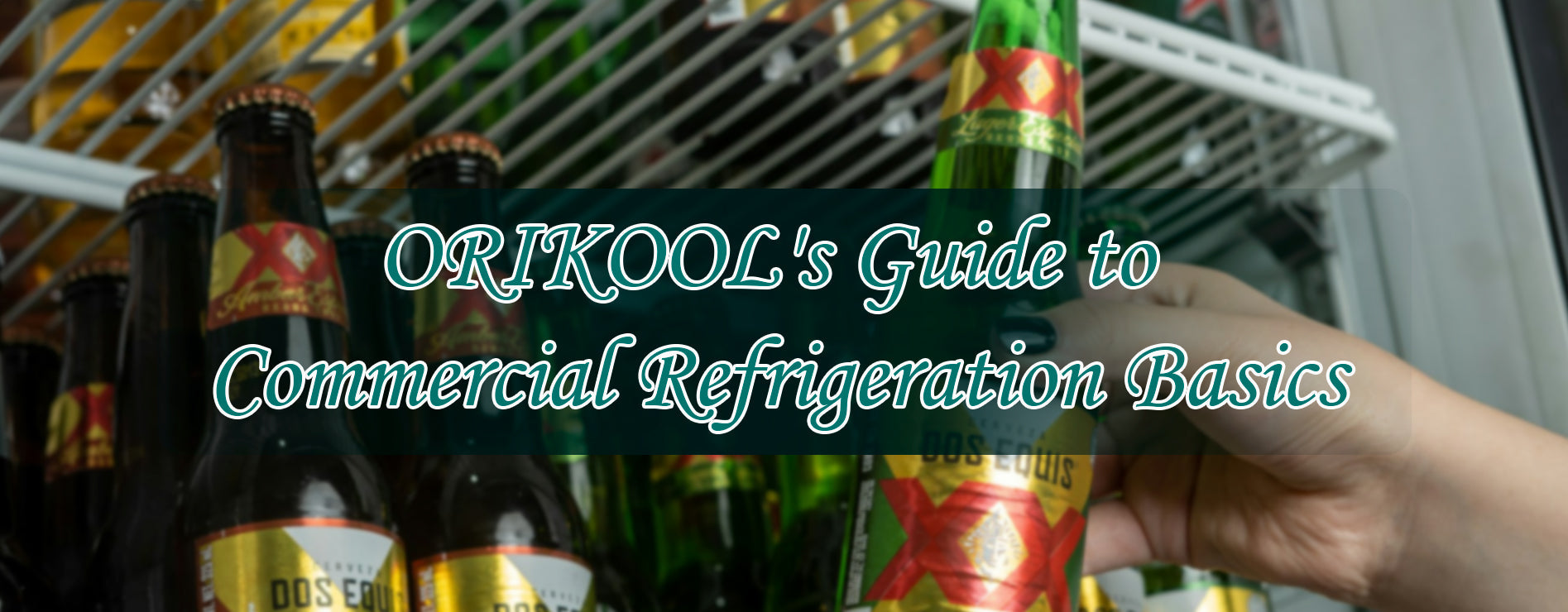 ORIKOOL's Guide to Commercial Refrigeration Basics - Orikool
