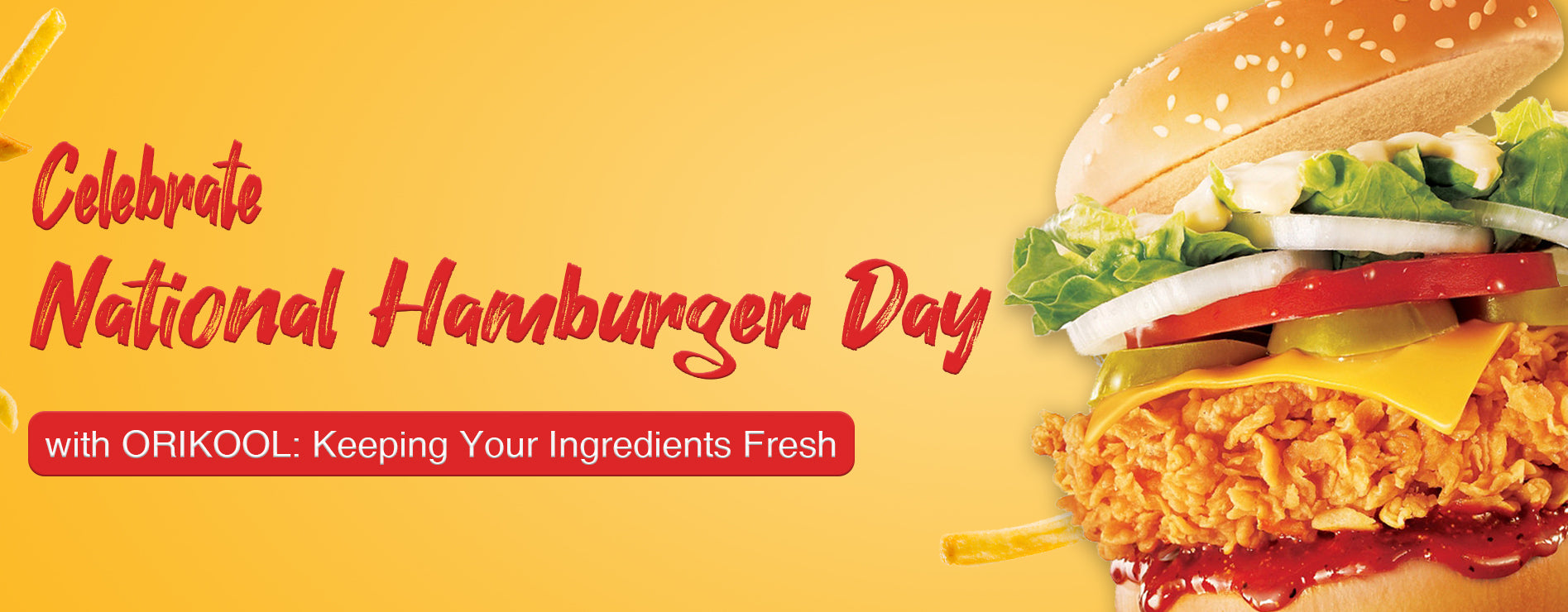 Celebrate National Hamburger Day with ORIKOOL: Keeping Your Ingredients Fresh