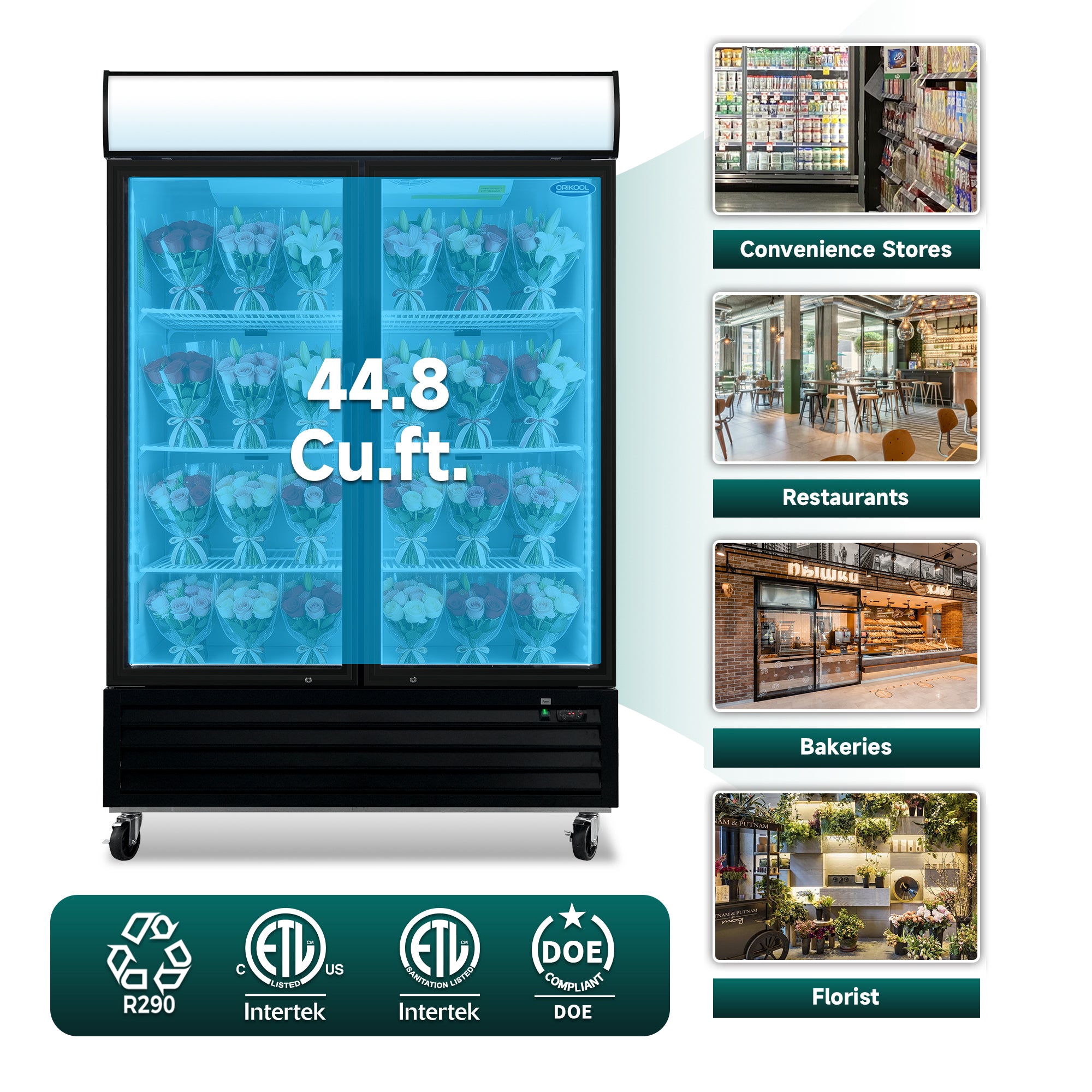 ORIKOOL 54" Floral Cooler Display Refrigerator – 2 Door Flower Display Refrigerator, 44.8 Cu.Ft.